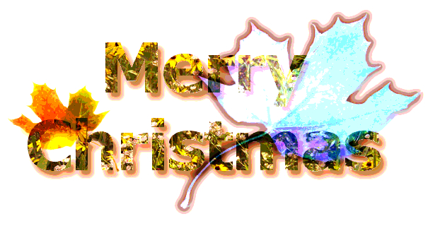Merry Christmas クリスマスロゴ素材 花柄のテクスチャ